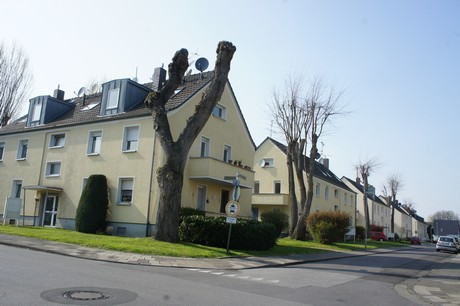 bedburg
