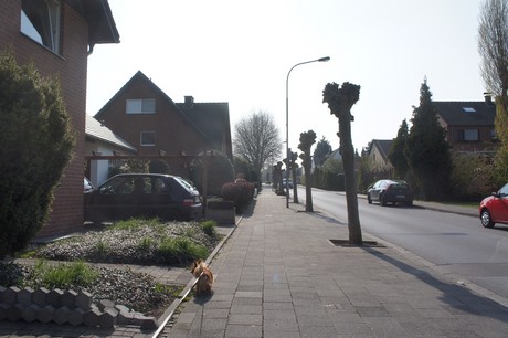 bedburg