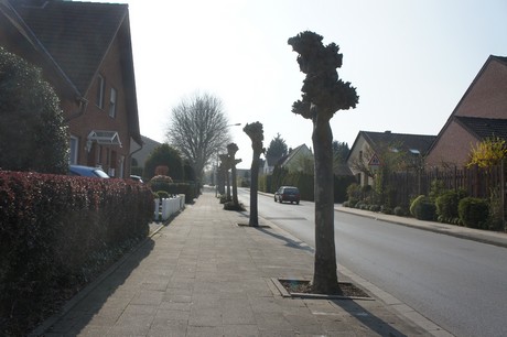 bedburg