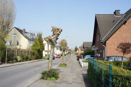 bedburg