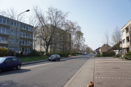 bedburg