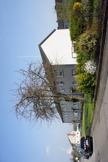 bedburg