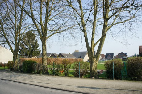 bedburg