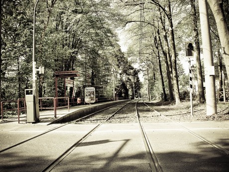 bensberg