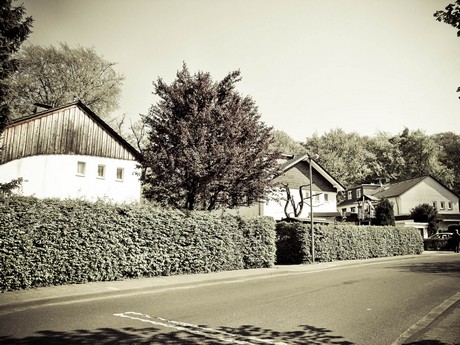 bensberg