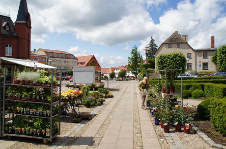 bergen-auf-ruegen