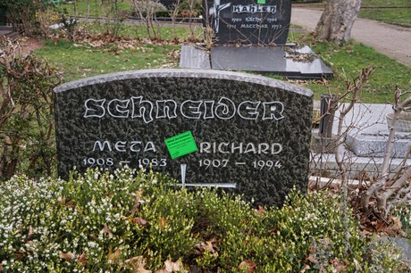 Bergheim