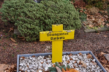 Bergheim