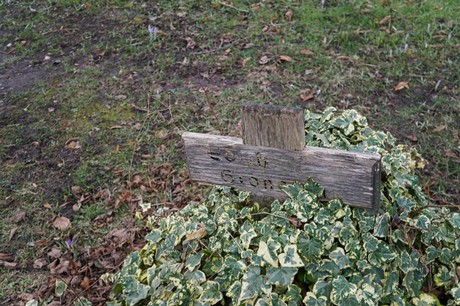 Bergheim