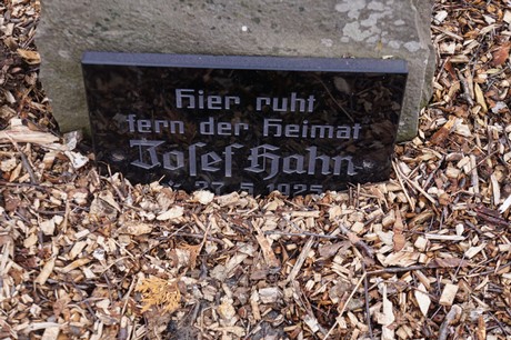 Bergheim