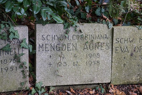 Bergheim