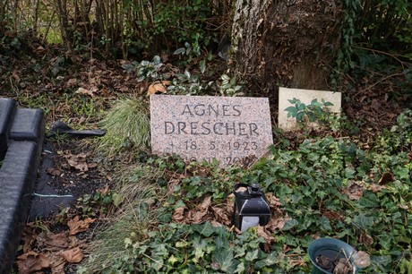 Bergheim