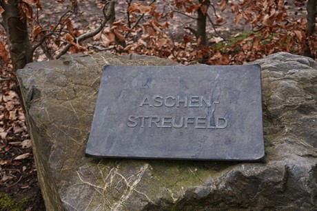 Bergheim