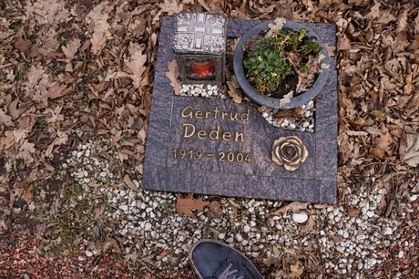 Bergheim