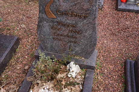 Bergheim