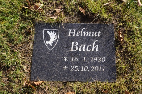 Bergheim