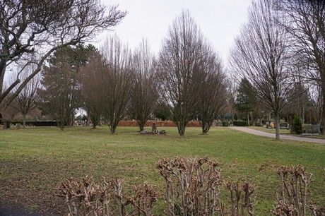 Bergheim
