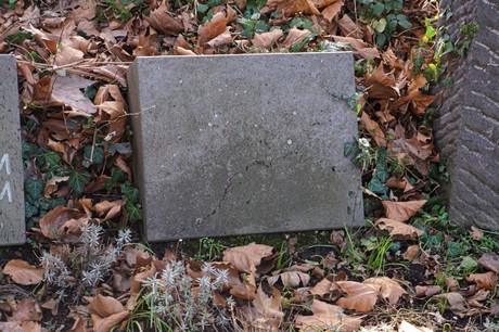 Bergheim