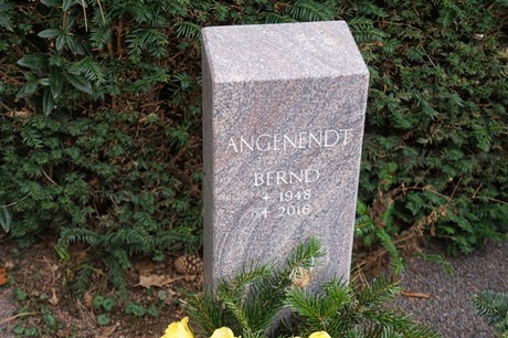Bergheim