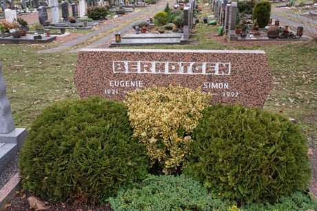 Bergheim