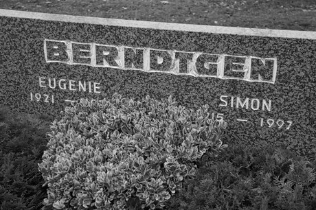 Bergheim