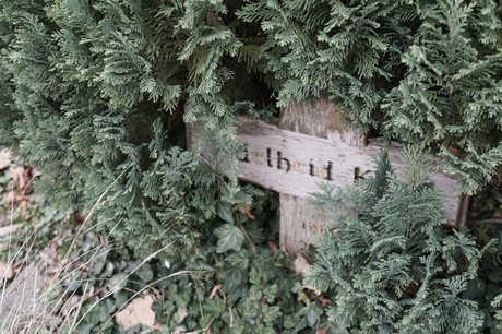 Bergheim