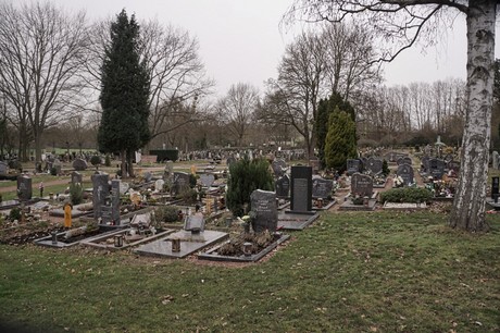 Bergheim