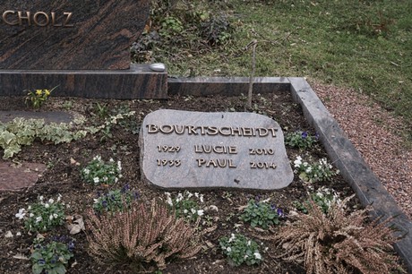 Bergheim