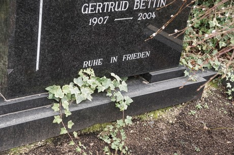 Bergheim