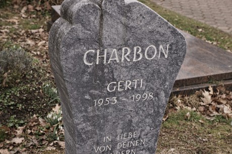 Bergheim
