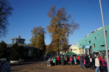 bergheim
