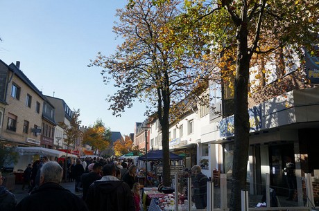 bergheim