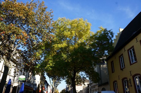 bergheim