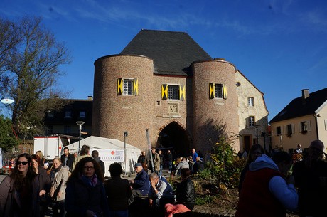bergheim