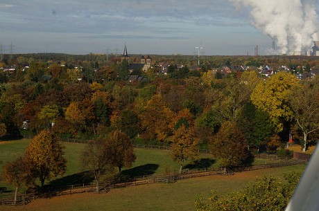 bergheim