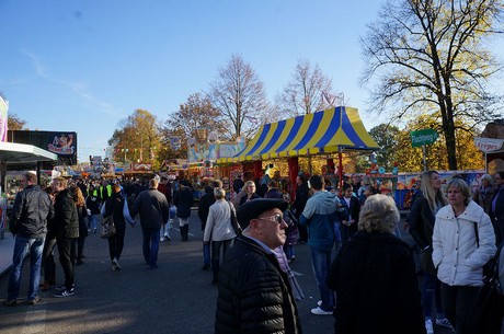 bergheim