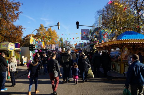 bergheim