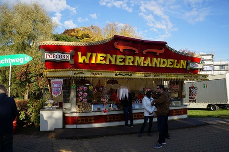 bergheim