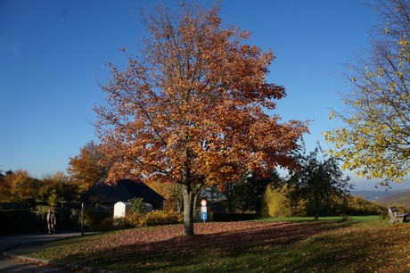 Bergstein