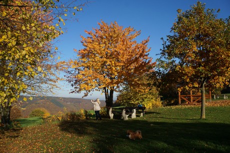 Bergstein