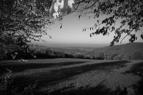 Bergstein
