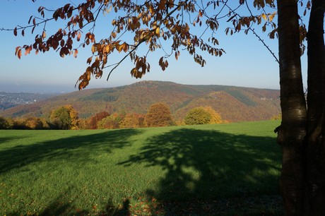 Bergstein