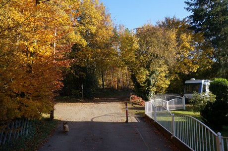 Bergstein