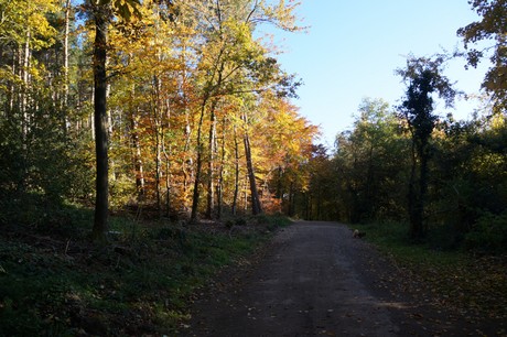Bergstein