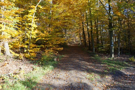Bergstein