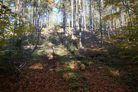 Bergstein