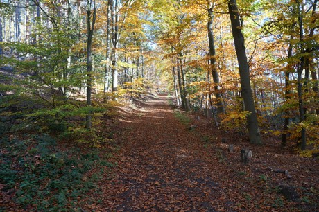 Bergstein