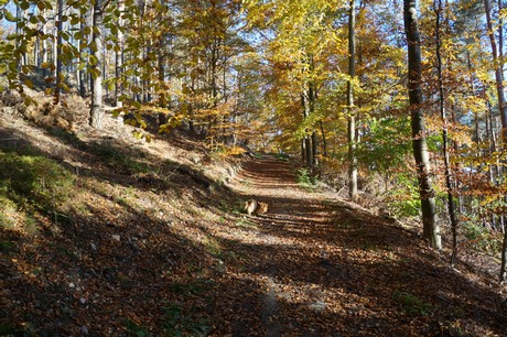 Bergstein