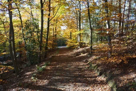 Bergstein