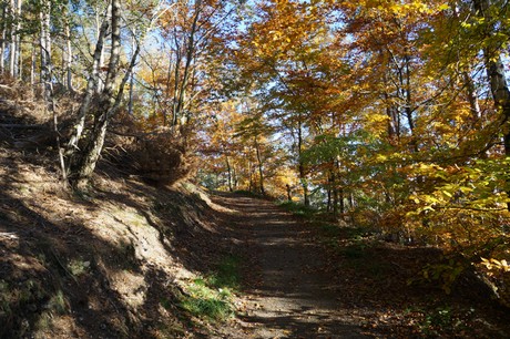 Bergstein